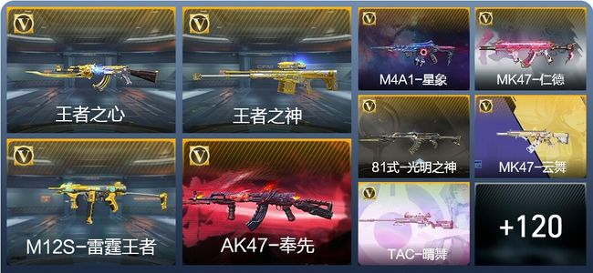 穿越火线：枪战王者V6 204英雄武器 新锐