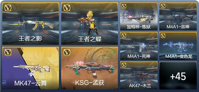 穿越火线：枪战王者V3 92英雄武器 新锐