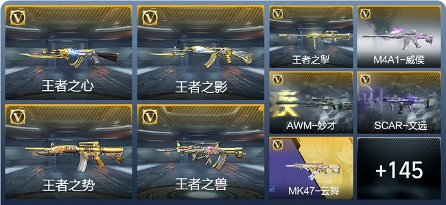 穿越火线：枪战王者V7 290英雄武器 新锐