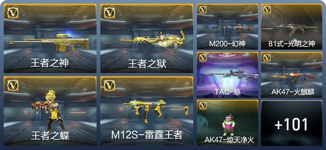 穿越火线：枪战王者V5 229英雄武器 新锐