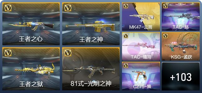 穿越火线：枪战王者V3 241英雄武器 新锐