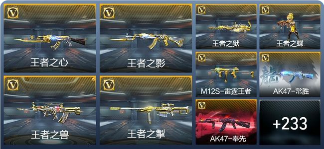 穿越火线：枪战王者V9 429英雄武器 新锐