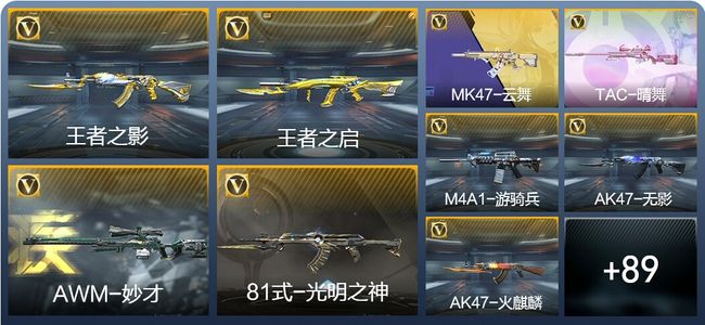 穿越火线：枪战王者V5 178英雄武器 新锐