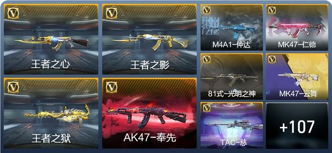 穿越火线：枪战王者V6 216英雄武器 新锐