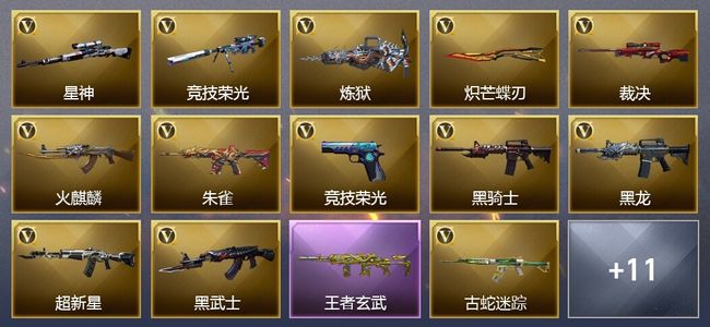 穿越火线（CF）2王者武器 25V武器 8V角色 4皮肤 可排位