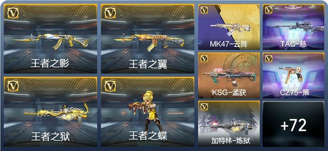 穿越火线：枪战王者V6 128英雄武器 新锐