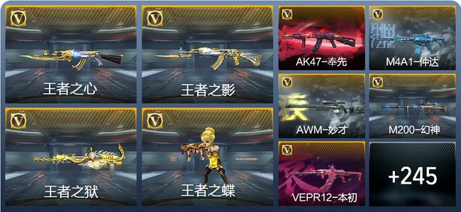 穿越火线：枪战王者V8 348英雄武器 新锐