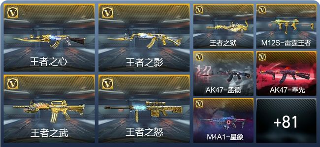 穿越火线：枪战王者V8 181英雄武器 新锐