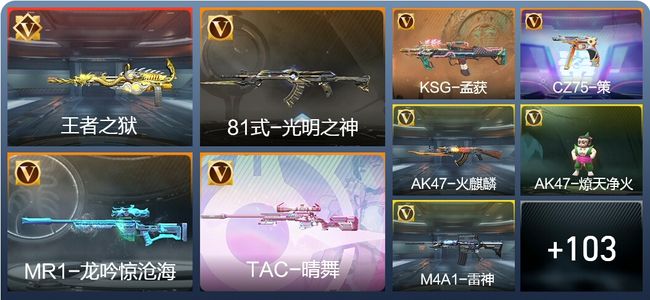 穿越火线：枪战王者V5 164英雄武器 新锐