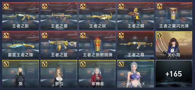 穿越火线：枪战王者V5 313英雄武器 新锐