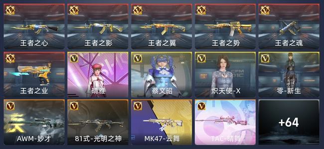 穿越火线：枪战王者V6 134英雄武器 新锐