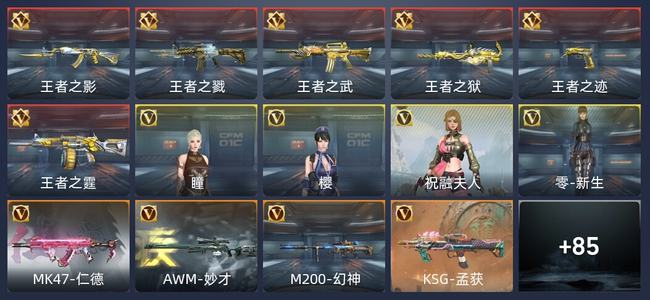 穿越火线：枪战王者V7 177英雄武器 新锐