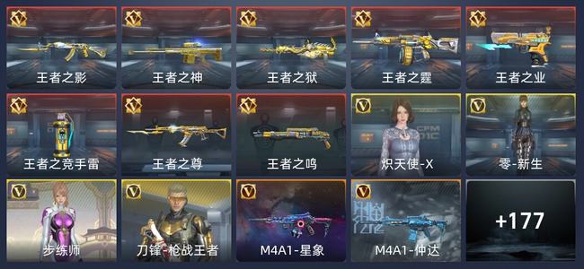 穿越火线：枪战王者V6 289英雄武器 新锐