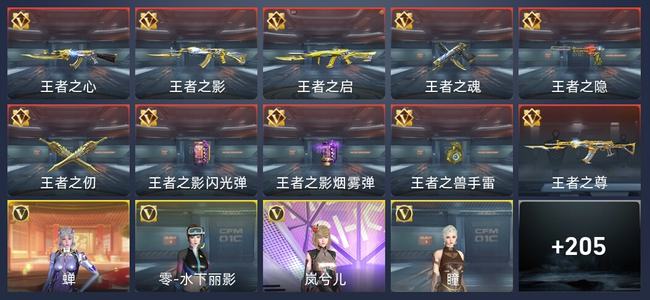 穿越火线：枪战王者V8 379英雄武器 新锐