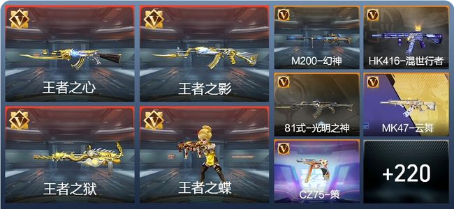 穿越火线：枪战王者炫闪10王者 229英雄武器 9英雄角色 314万化 枪王