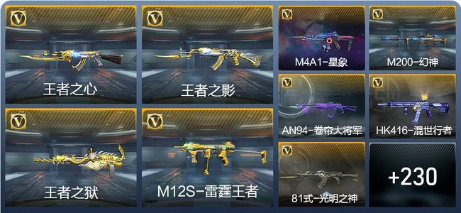 穿越火线：枪战王者15王者武器 239英雄武器 9英雄角色 424万化 专家S