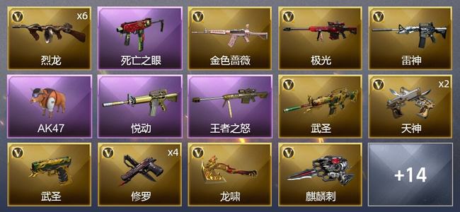 穿越火线（CF）2王者武器 24V武器 2V角色 5皮肤 不可排位 新锐