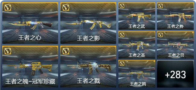 穿越火线：枪战王者V9 39王者武器 310英雄武器 10英雄角色 612万化 枪王S