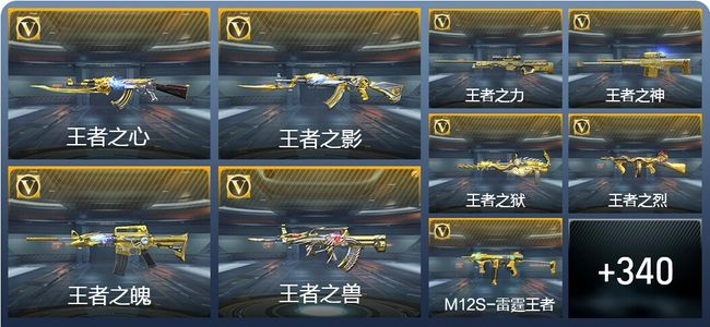 穿越火线：枪战王者V9 30王者武器 385英雄武器 12英雄角色 800万化 枪王S