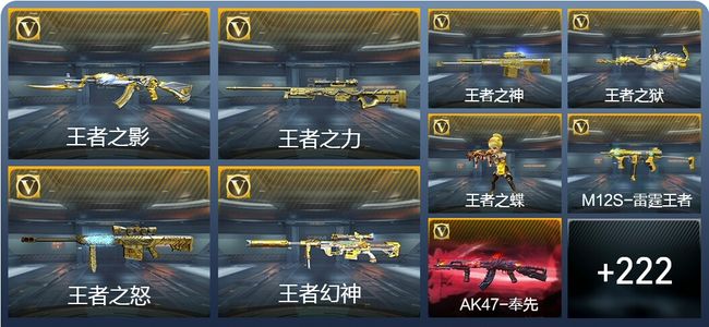 穿越火线：枪战王者V8 22王者武器 253英雄武器 6英雄角色 490万化 枪神