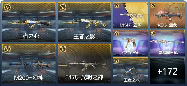 穿越火线：枪战王者V5 7王者武器 210英雄武器 6英雄角色 专家