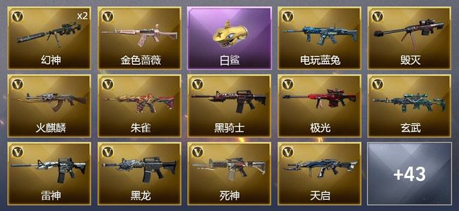 穿越火线（CF）60V武器 4V角色 23皮肤 可排位 专家