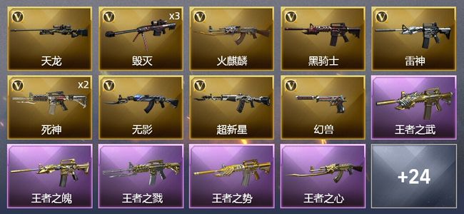 穿越火线（CF）9王者武器 31V武器 13皮肤 可排位 大师