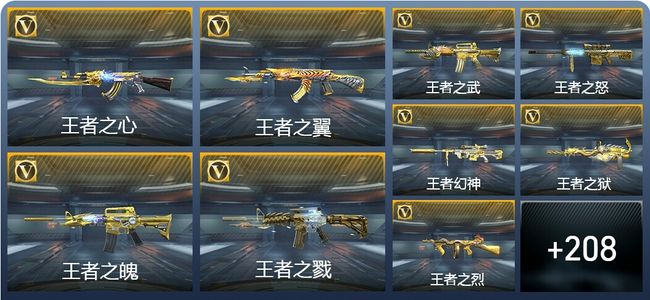 穿越火线：枪战王者V9 22王者武器 239英雄武器 8英雄角色 583万化 枪王S