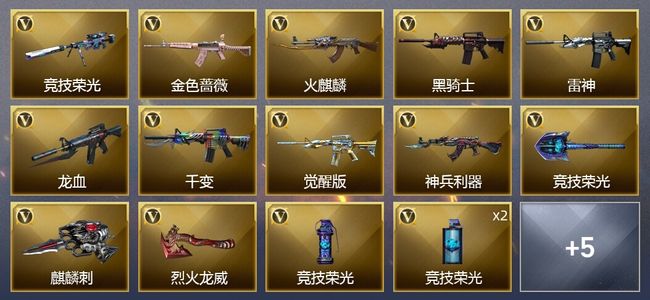 穿越火线（CF）19V武器 1V角色 8皮肤 可排位 新锐