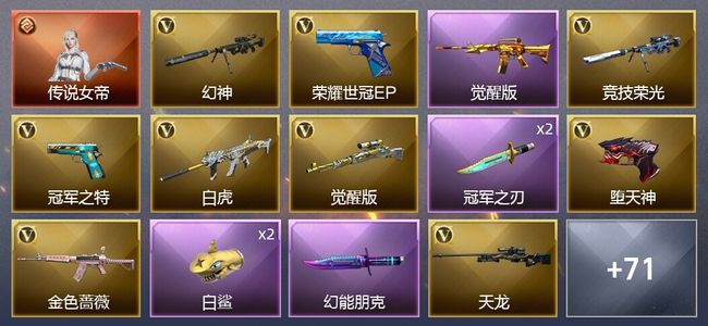 穿越火线（CF）1传说角色 2王者武器 3炫金武器 95V武器 5V角色 56皮肤 可排位 枪王