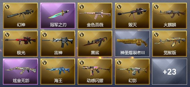 穿越火线（CF）1炫金武器 24V武器 1V角色 13皮肤 可排位 传奇