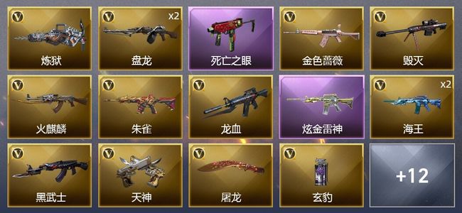 穿越火线（CF）1炫金武器 19V武器 1V角色 7皮肤 可排位 传奇