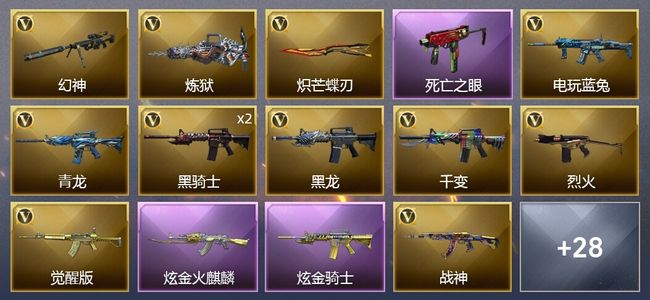 穿越火线（CF）2炫金武器 24V武器 2V角色 12皮肤 可排位 传奇