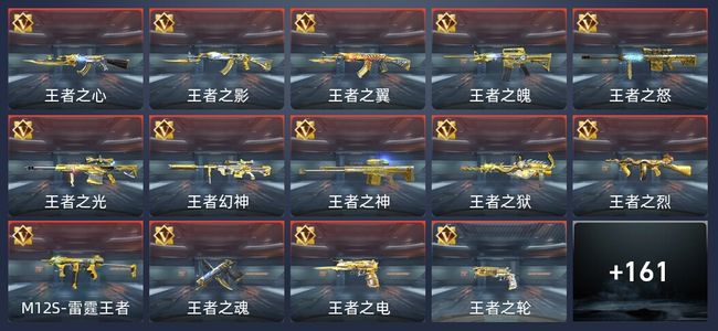 穿越火线：枪战王者V9 254英雄武器 新锐