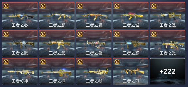 穿越火线：枪战王者V10 375英雄武器 新锐