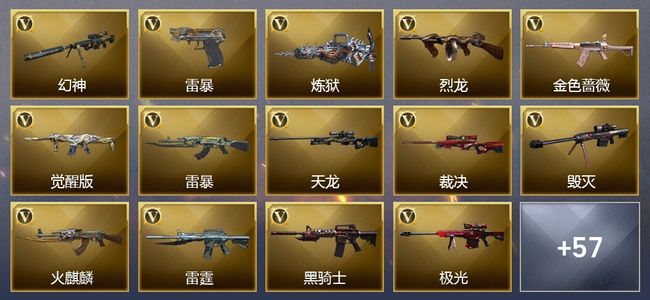 穿越火线（CF）10王者武器 7炫金武器 113V武器 19V角色 13皮肤 可排位