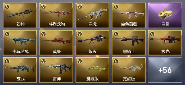 穿越火线（CF）5王者武器 1炫金武器 70V武器 55V角色 35皮肤 可排位