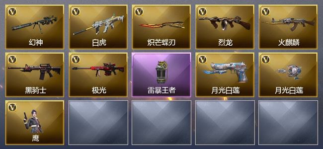 穿越火线（CF）1王者武器 15V武器 5V角色 1皮肤 可排位