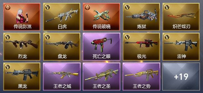 穿越火线（CF）1传说角色 1传说武器 6王者武器 0炫金武器 58V武器 5V角色 5皮肤 可排位 无