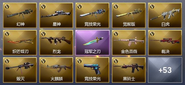 穿越火线（CF）0传说角色 2传说武器 6王者武器 2炫金武器 93V武器 33V角色 31皮肤 可排位 无