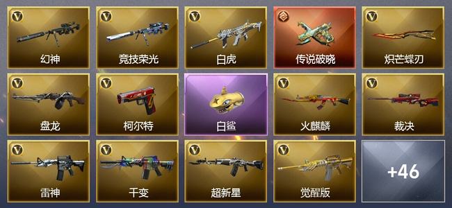 穿越火线（CF）0传说角色 1传说武器 2王者武器 0炫金武器 70V武器 28V角色 29皮肤 可排位 无