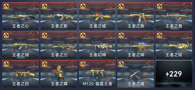 穿越火线：枪战王者V8 384英雄武器 新锐