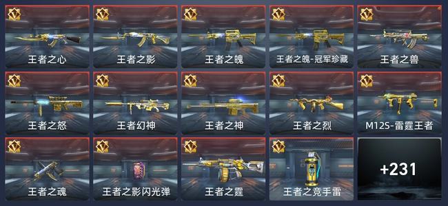 穿越火线：枪战王者V8 370英雄武器 新锐