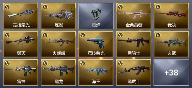 穿越火线（CF）1王者武器 56V武器 2V角色 17皮肤 不可排位 传奇