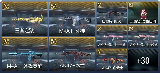穿越火线：枪战王者2王者武器 39英雄武器 1英雄角色 41万化 专家