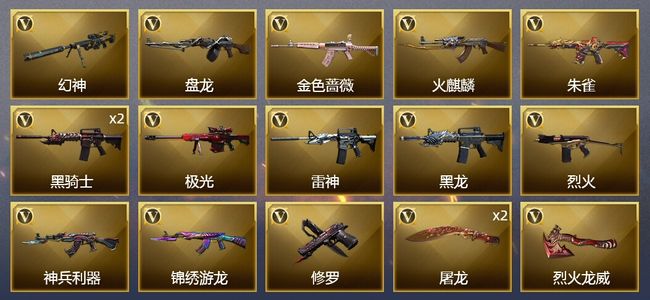穿越火线（CF）17V武器 5皮肤 可排位 新锐