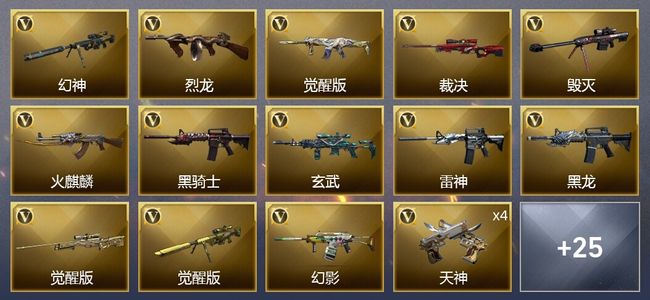 穿越火线（CF）37V武器 3V角色 11皮肤 可排位 枪王