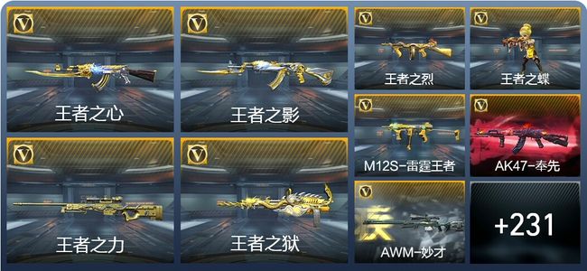 穿越火线：枪战王者V8 29王者武器 240英雄武器 7英雄角色 323万化 枪皇S