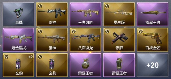 穿越火线（CF）5王者武器 1炫金武器 21V武器 1V角色 3皮肤 可排位 新锐