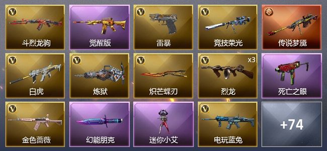 穿越火线（CF）1传说武器 4王者武器 3炫金武器 71V武器 2V角色 31皮肤 可排位 宗师